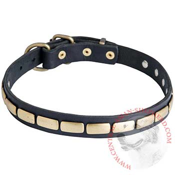 Walking Leather Collar with Brass Decoration for Central Asian Shepherd