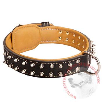 Central Asian Shepherd Collar Leather Spiked Padded