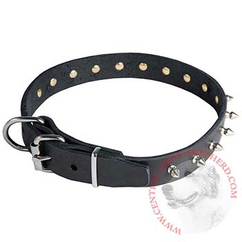 Central Asian Shepherd Leather Collar with Spikes