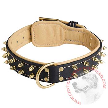 Leather Central Asian Shepherd Collar Spiked Padded with Nappa Leather Adjustable
