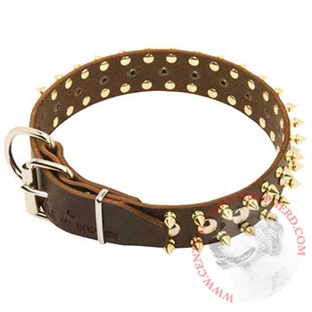 Leather Central Asian Shepherd Collar with Rust-proof Decoration
