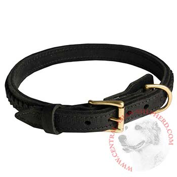 Central Asian Shepherd Leather Braided Collar with Solid Hardware