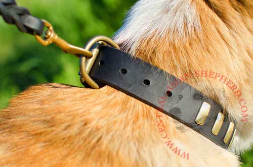 Central Asian Shepherd Collar Leather with Easily Adjustable Buckle