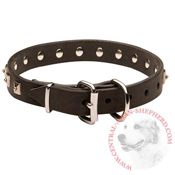Leather Dog Collar for Central Asian Shepherd with Studs