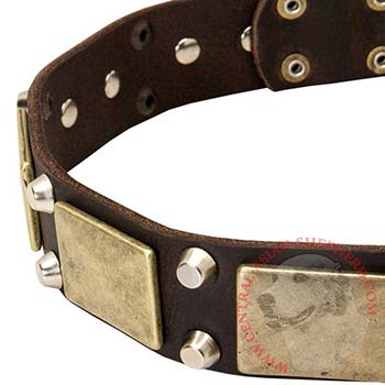 Leather Central Asian Shepherd Collar with Nickel Studs