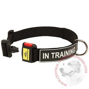 Nylon Dog Collar for Central Asian Shepherd Police Training
