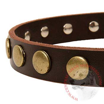 Designer Leather Dog Collar for Walking Central Asian Shepherd