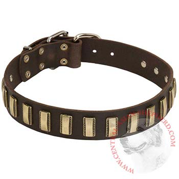 Leather Central Asian Shepherd Collar Designer for Walking in Style