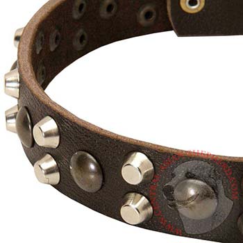 Leather Central Asian Shepherd Collar with Hand Set Studs