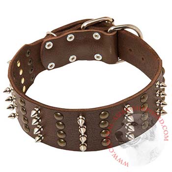 Leather Collar for Central Asian Shepherd Walking in Style