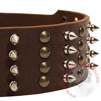 Central Asian Shepherd Leather Collar with Rust-proof Fittings
