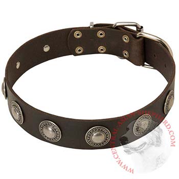 Training Leather   Central Asian Shepherd Collar for Stylish Dogs