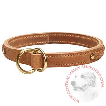  2 Ply Leather Choke Collar for Central Asian Shepherd