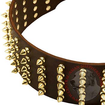 Fashionable Spiked Leather Central Asian Shepherd Collar
