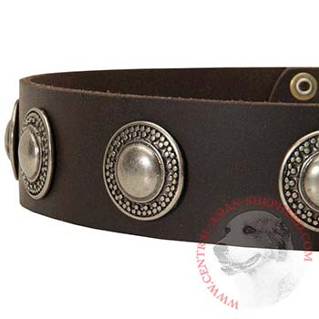 Leather Dog Collar with Conchos for   Central Asian Shepherd