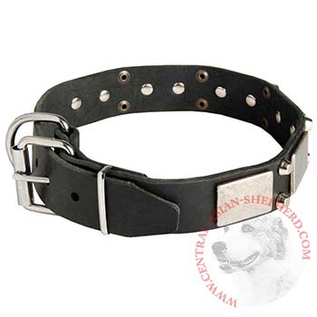 Leather Buckle Collar for Central Asian Shepherd Walking