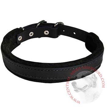 Central Asian Shepherd Collar Leather for Dog Protection Attack Training