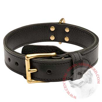 Central Asian Shepherd  Leather Collar with Easy in Use Buckle