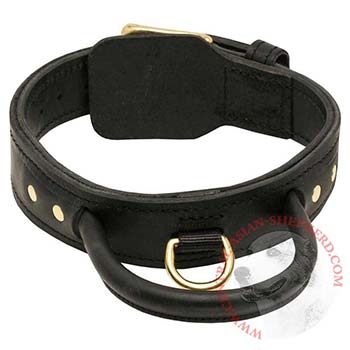 Leather Dog Collar with Handle for Central Asian Shepherd