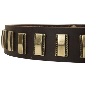 Leather Dog Collar with Adornment for Central Asian Shepherd