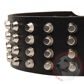 Leather Dog Collar with Studs for   Central Asian Shepherd