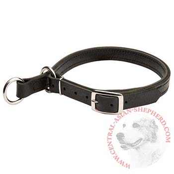 Central Asian Shepherd Obedience Training Choke  Leather Collar