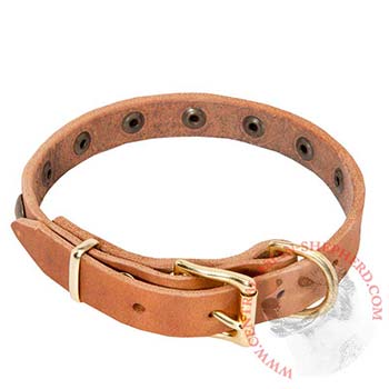 Central Asian Shepherd Leather Collar with Studs