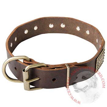 War-Style Leather Collar for Central Asian Shepherd
