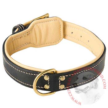 Leather Dog Collar Padded for Central Asian Shepherd Off Leash Training