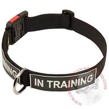 Nylon Central Asian Shepherd Collar With ID Patches