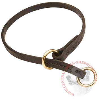Central Asian Shepherd Obedience Training Choke  Leather Dog Collar