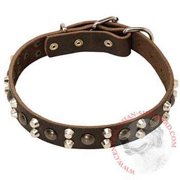 Leather Collar for Central Asian Shepherd Stylish Walks