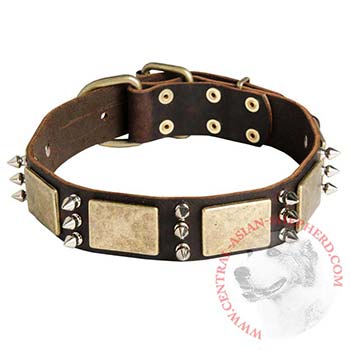 War-Style Leather Dog Collar for Central Asian Shepherd