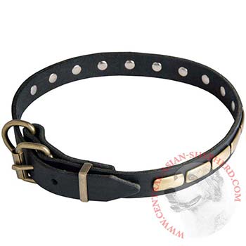 Central Asian Shepherd Leather Dog Collar with steel old brass plated Buckle
