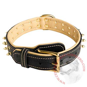 Leather Dog Collar Spiked Adjustable for Central Asian Shepherd Walking