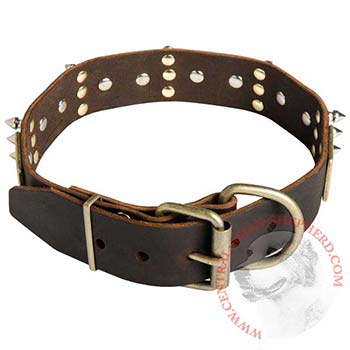 Spiked Leather Central Asian Shepherd Collar