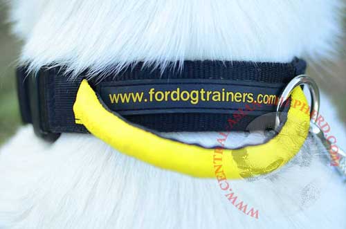 Strong Handle for Managing Central Asian Shepherd