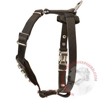 Leather Central Asian Shepherd Puppy Harness for Comfy Walking