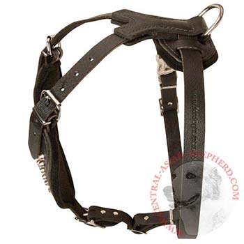 Custom Made Leather Central Asian Shepherd Harness