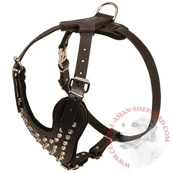 Studded Tan Leather Central Asian Shepherd Harness