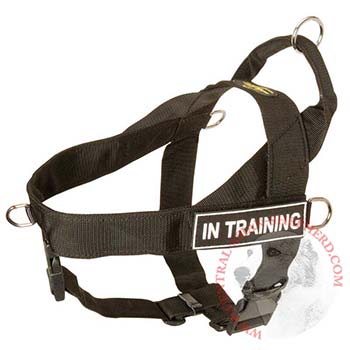 Central Asian Shepherd Nylon Harness with ID Patches