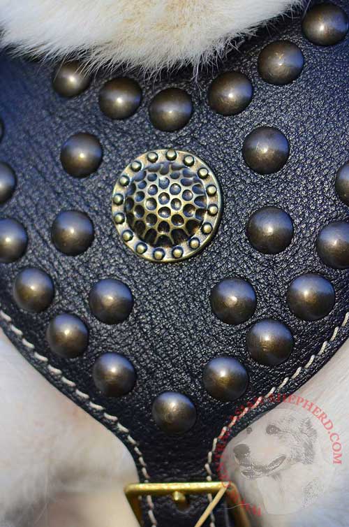 Leather Chest Plate with Rust-proof Decoration