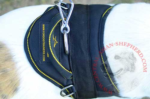 Steel Nickel-Plated D-ring Sewn in Dog Harness