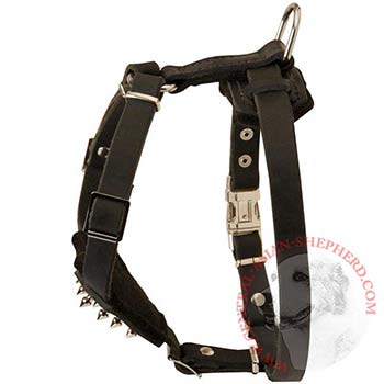 Central Asian Shepherd Leather Harness for Puppy Walking and Training