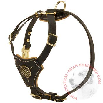 Walking Training Leather Puppy Harness for Central Asian Shepherd