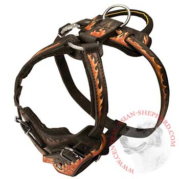 Leather Dog Harness with Handle for Central Asian Shepherd Training