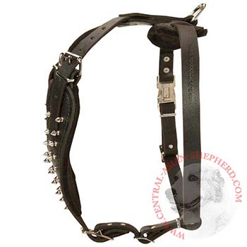 Adjustable Leather Harness for Central Asian Shepherd