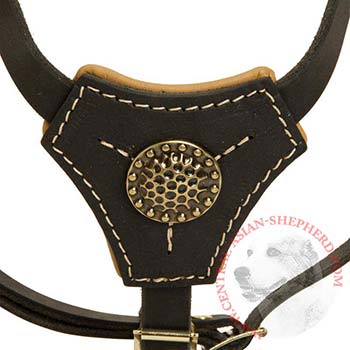 Leather Central Asian Shepherd Harness Fashion for Puppy