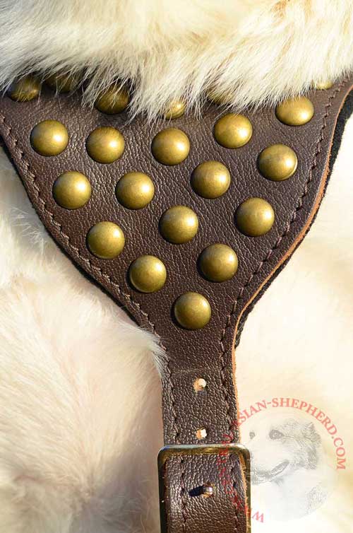Leather Breast Plate Decorated with Brass Studs