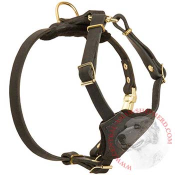 Light Weight Leather Puppy Harness for Central Asian Shepherd